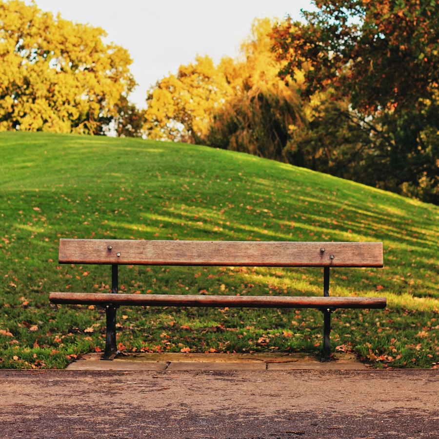 Garden bench — oak