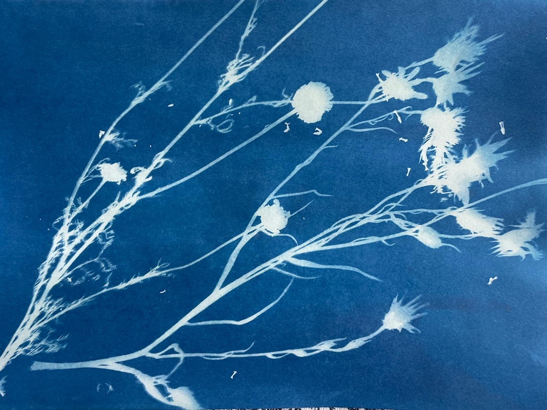 Constellation map — cyanotype